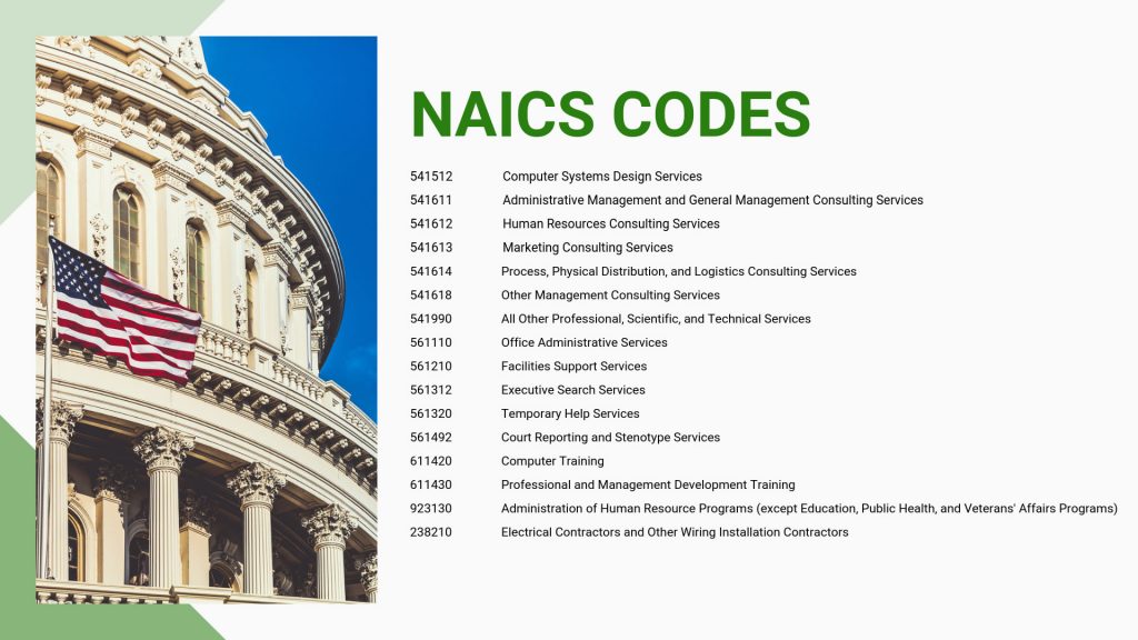 Accel Solutions NAICS CODES
