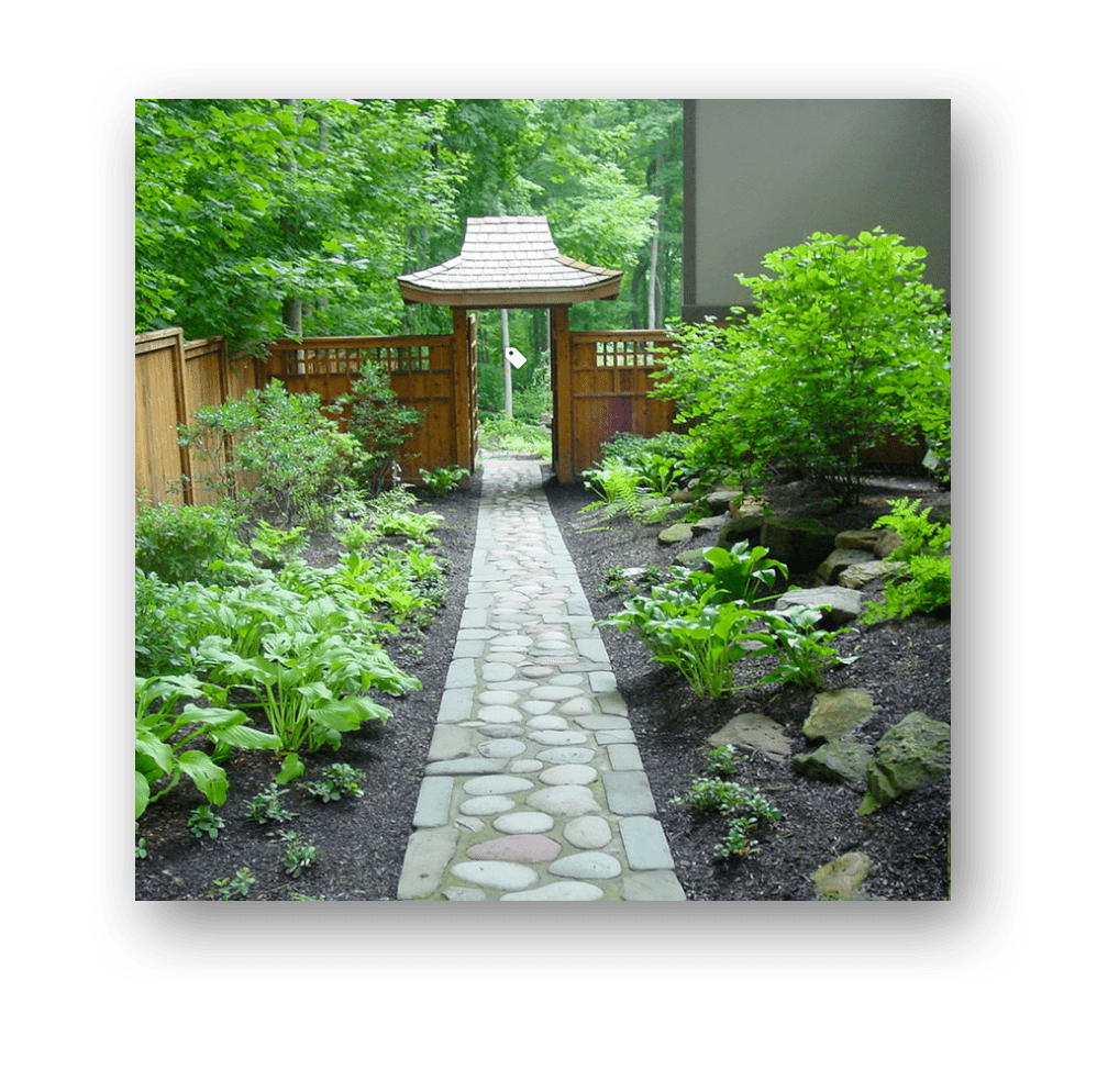 Design and Build Accent Landscapes Landscape Design & Services