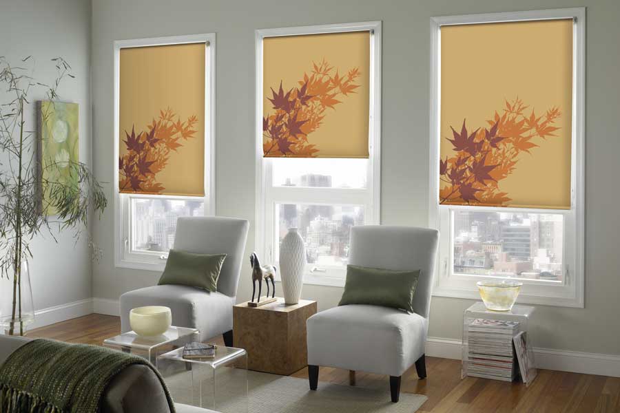 Custom Graphics Shades Accent Verticals Window Coverings serving