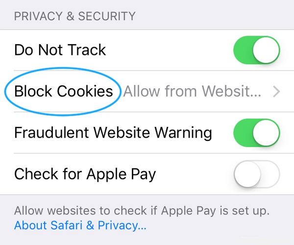 Enable Cookies Iphone Settings at Denisha Murphy blog
