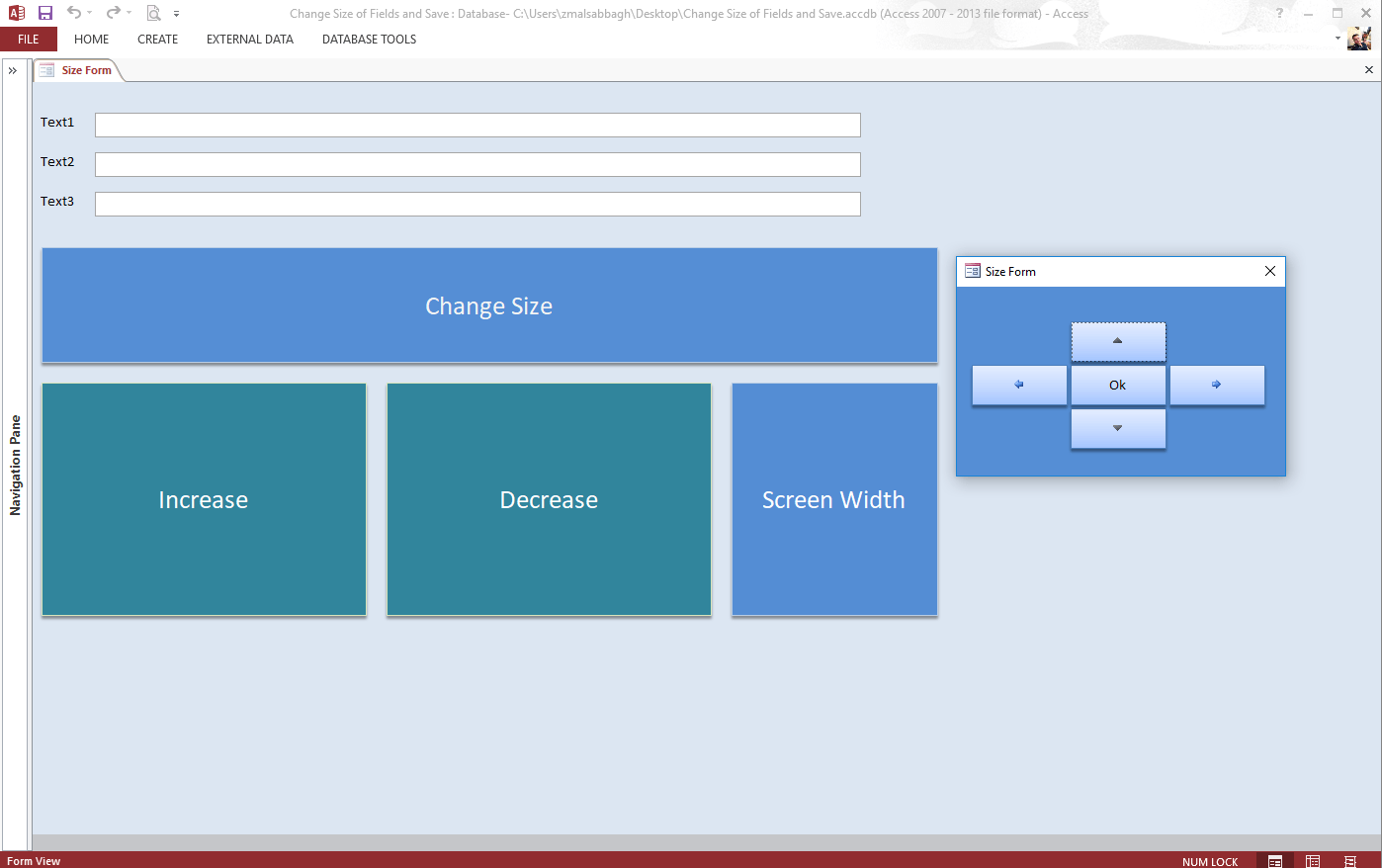 MS ACCESS Resize Fields Within A Form Microsoft Access Programs