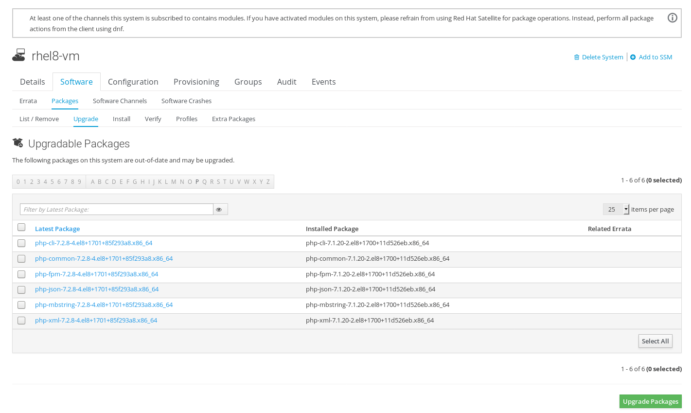 Running Red Hat Enterprise Linux 8 on Satellite 5.8 Red Hat Customer