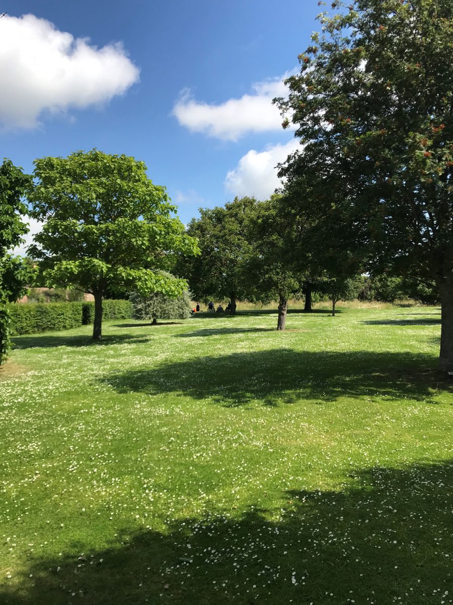 Haddington Garden Trust AccessAdvisr