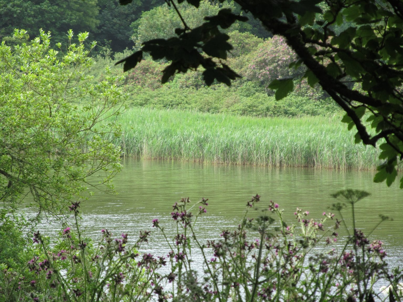 Three wheelchair friendly trails in Cornwall Access Cornwall