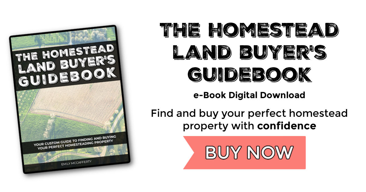 The Homestead Land Buyer's Guidebook Accidental Hippies