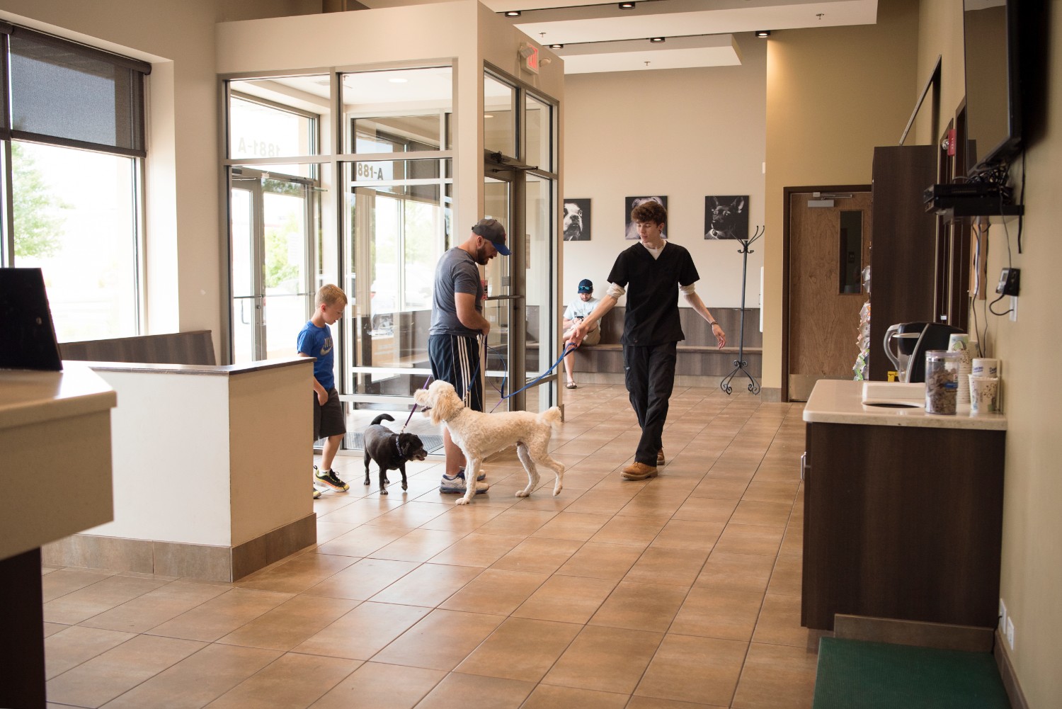 Tour Our Animal Hospital in Geneva, IL Photo Gallery