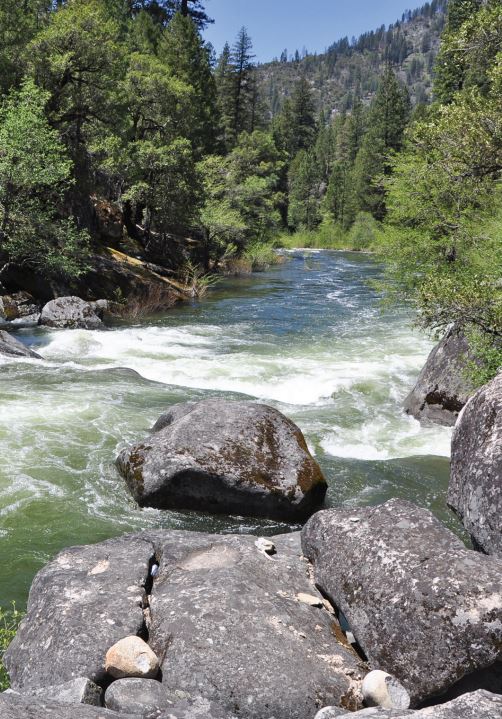 MOKELUMNE WATERSHED AVOIDED COST ANALYSIS Why Sierra Fuel Treatments