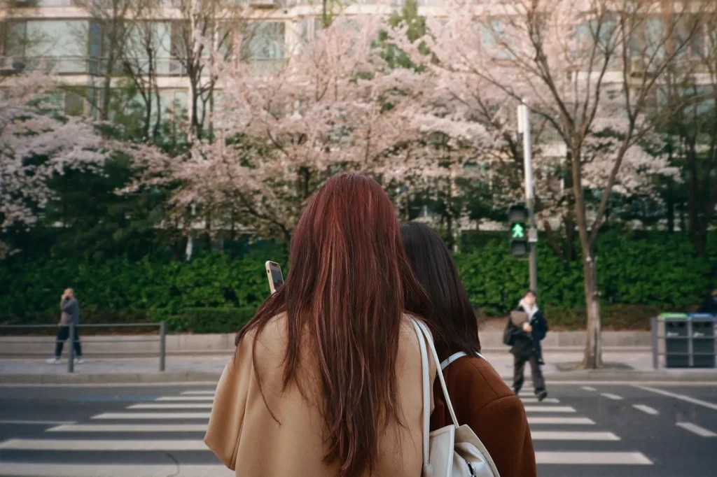 What Map App To Use In South Korea Wenda Josefina