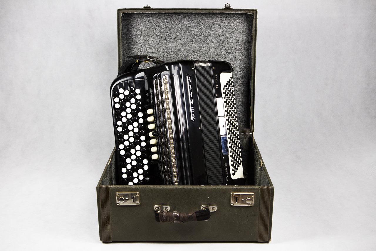 How to Pick the Best Accordion Case for Your Squeezebox Accordionists