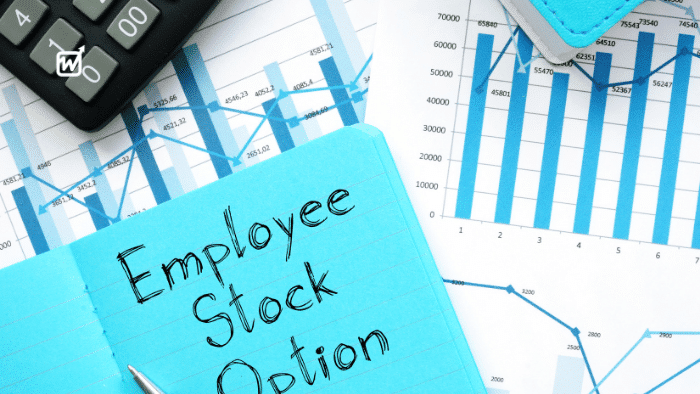 Employees, Here’s How Your Stock Options Impact Your Taxes