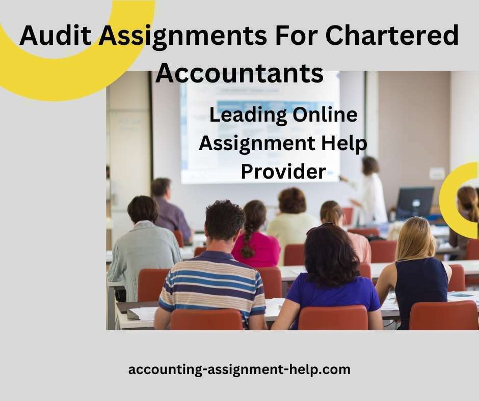 Audit Assignments For Chartered Accountants » Accounting Assignment