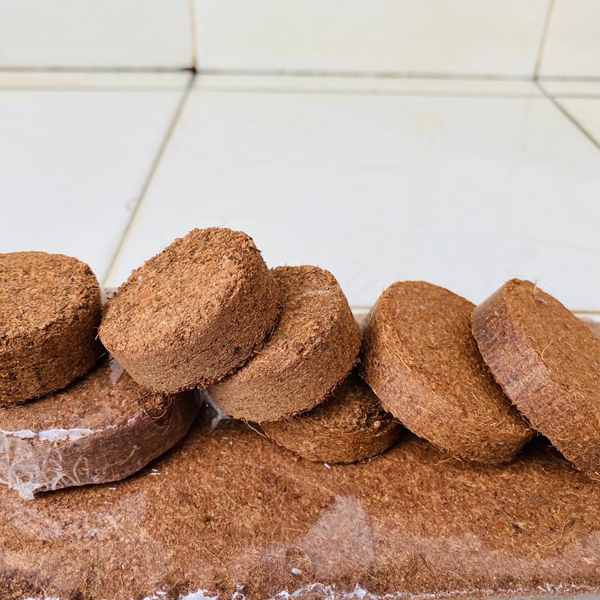 COCO PEAT DISCS Accra Coir International