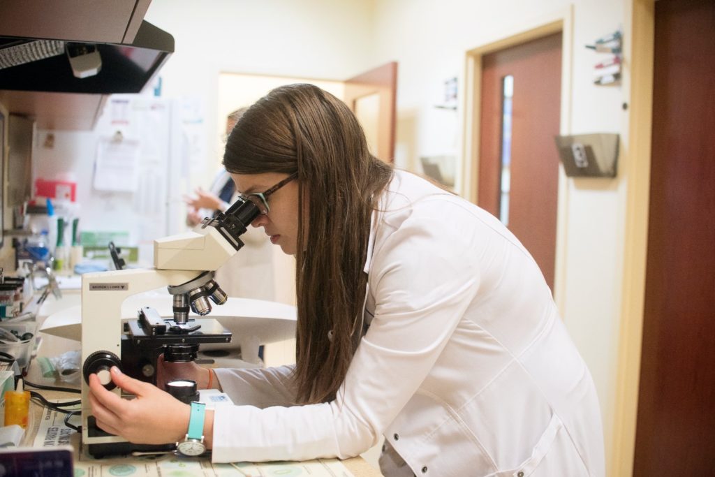 Animal Care Clinic of Randall Pointe Elgin Vet Clinic