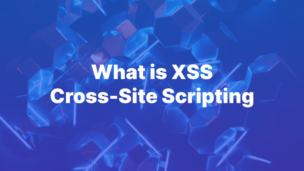 Understanding XSS CrossSite Scripting Attacks Accreditly