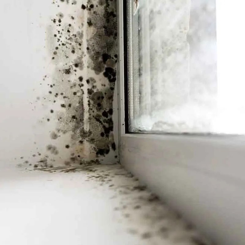 Home Inspection Services Professional Home Inspectors