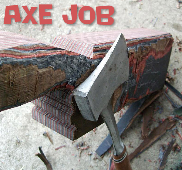 Gunstock « Daily Bulletin