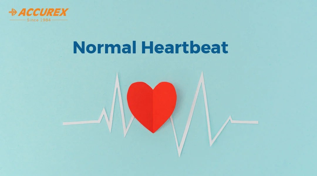 Normal Heart Beat Range Accurex Biomedical