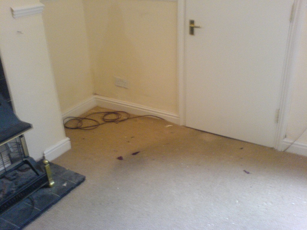 Photos Carpet Cleaning York