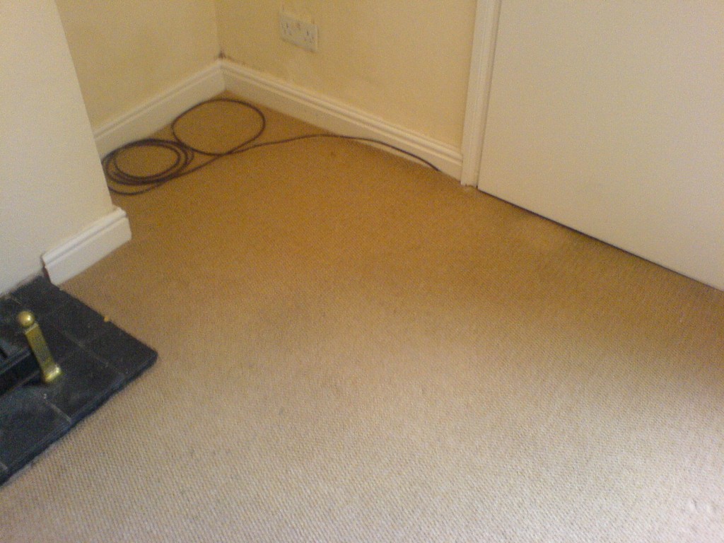 Photos Carpet Cleaning York