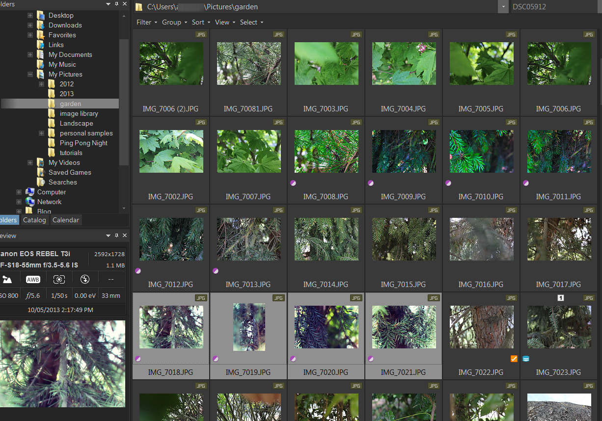 Presets | Acdsee Tutorials