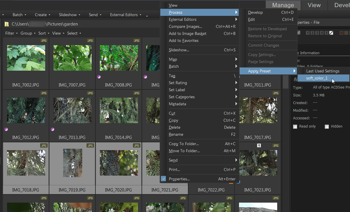 Presets | Acdsee Tutorials