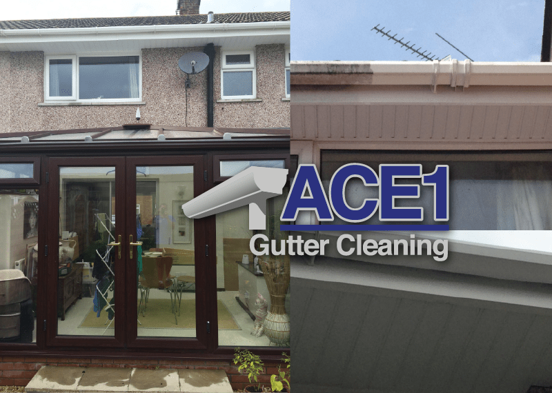 FASCIA & SOFFIT CLEANING Ace1 Gutter Cleaning