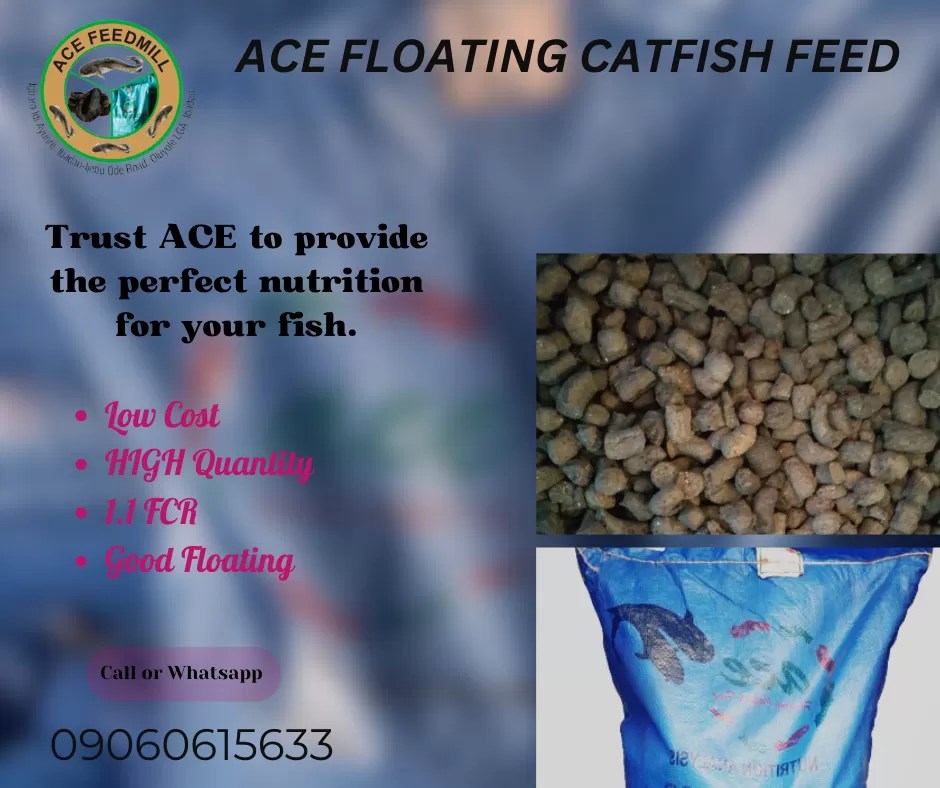 ACE Floating Catfish Feed the preferred choice for farmers