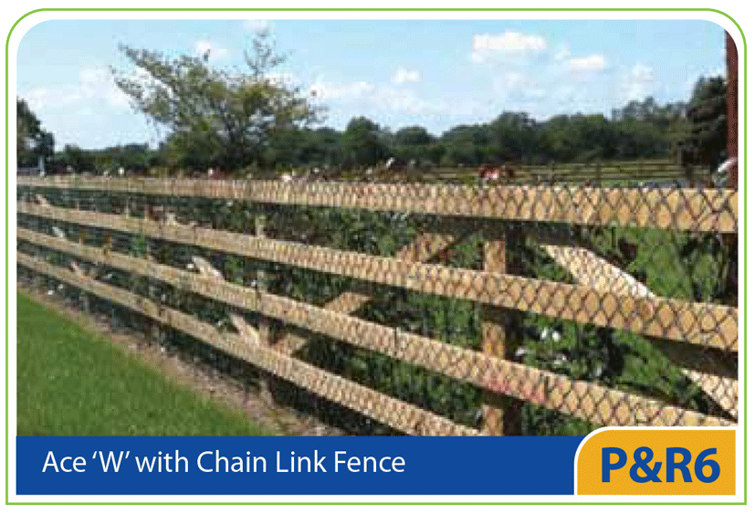 PR6 Ace 'W' with Chain Link Fence