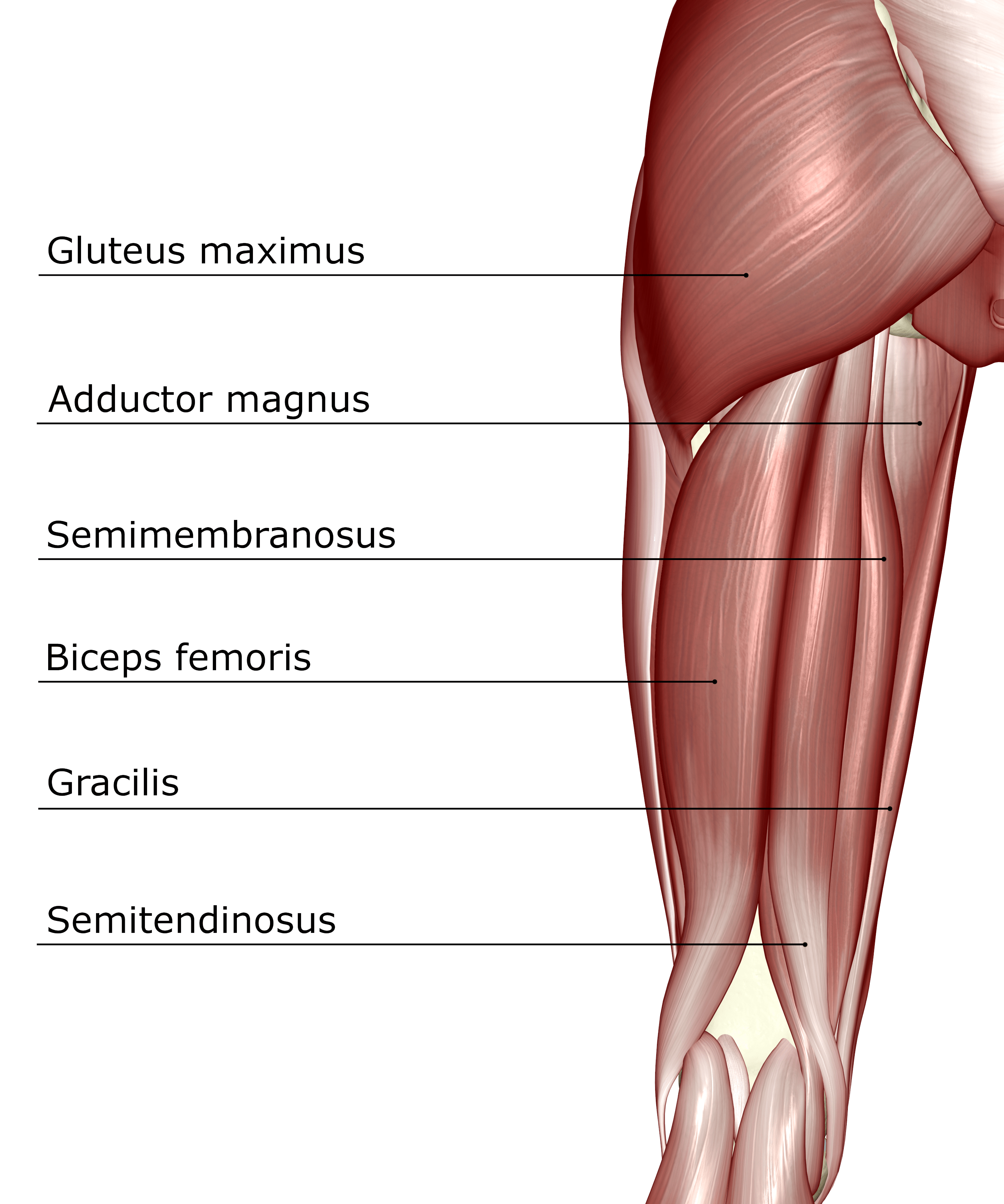 ACE Certified™ February 2018 ACESPONSORED RESEARCH What Is the