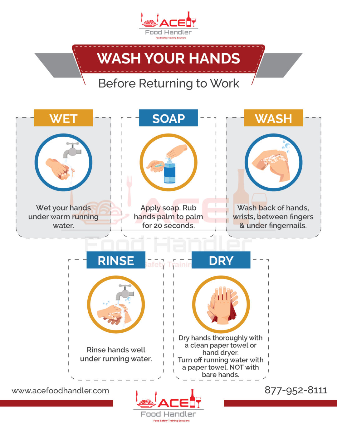 When a Food Handler Should Wash their hands Ace Food Handler™