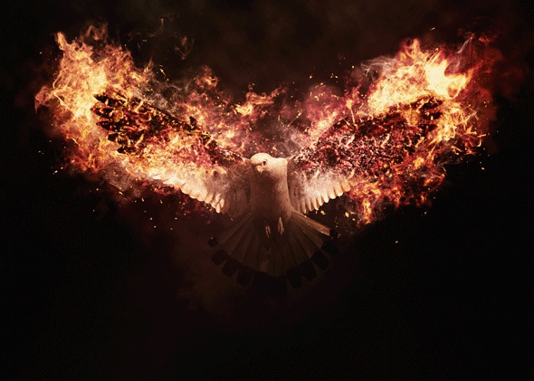 Feuer auf Gifs 120 animierte Flammenbilder kostenlos