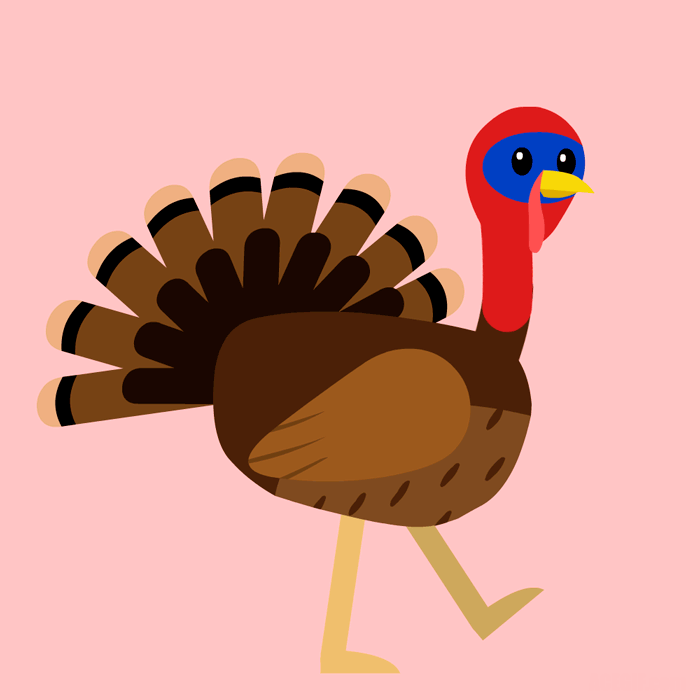 Real Bird Animated Gif