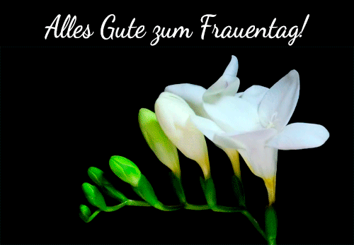 Alles Gute zum Frauentag GIFs 42 Grußkarten für den 8 März