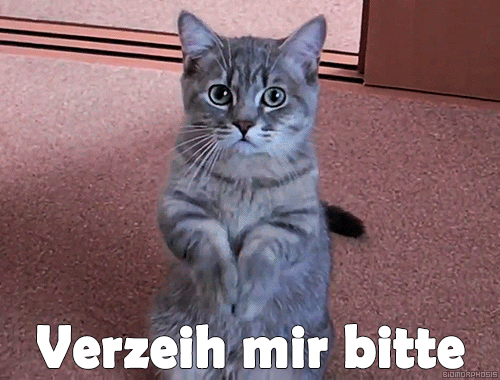 Verzeih mir bitte GIFs. 22 animierte Bilder um Vergebung bitten