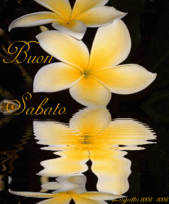 Le Gif Per Augurare Un Buon Sabato 100 Immagini Animate