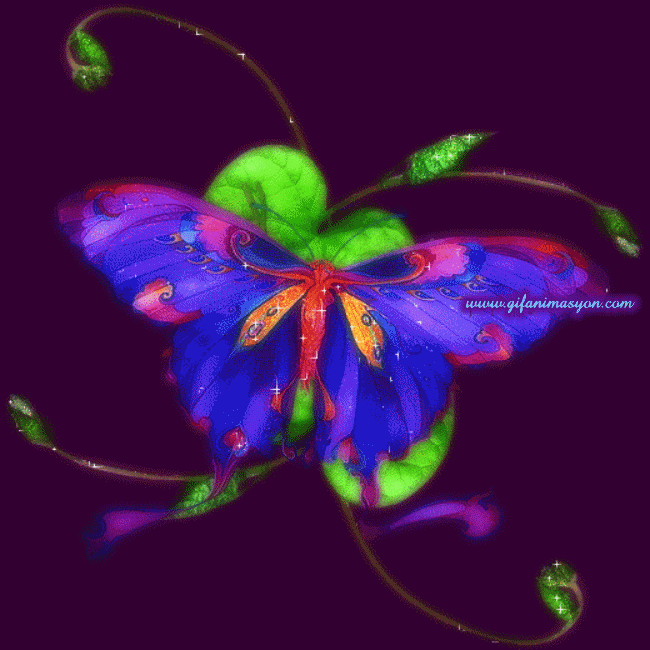 Rainbows And Butterflies Gif