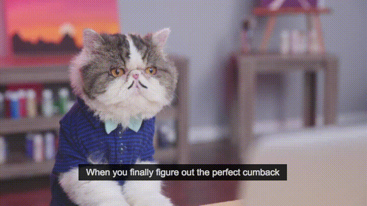 GIFs Typing Cats Funny Pussycats Using Keyboard (25 pieces)