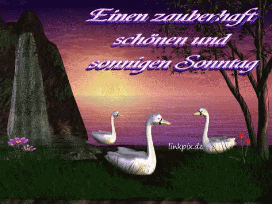 GIFs einen schönen Sonntag. 90 animierte Bilder kostenlos