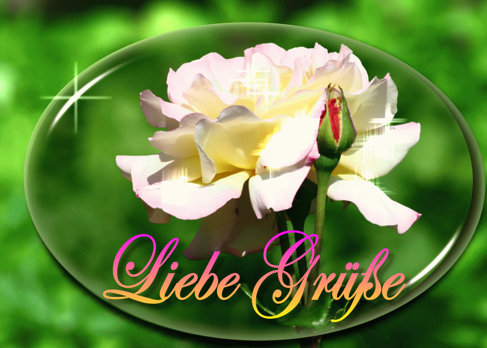 Liebe Grüße GIF. 70 animierte Bilder mit besten Grüßen