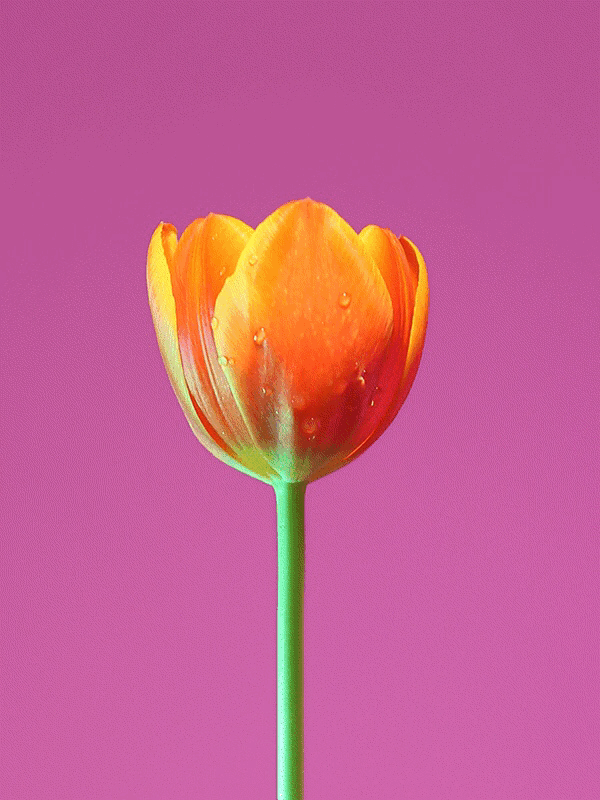 Весенние Картинки Гиф Telegraph