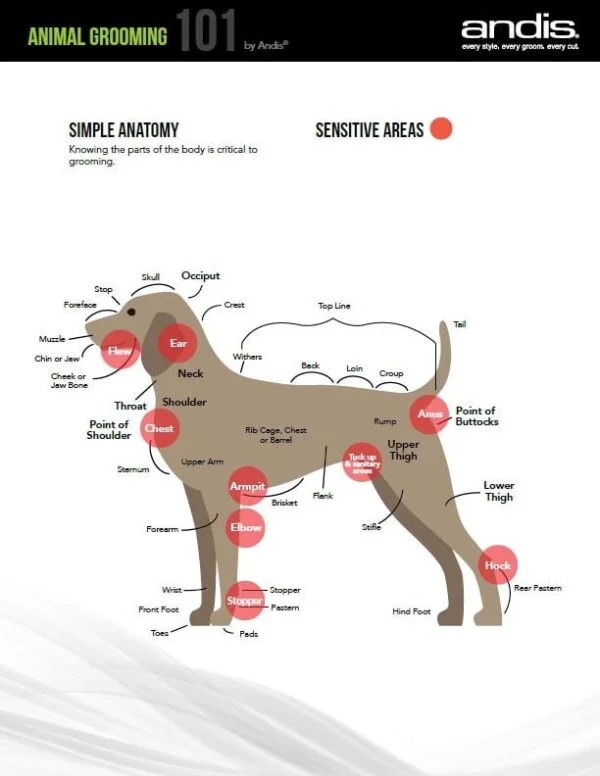 Dog Grooming Ace Grinding & Sharpening
