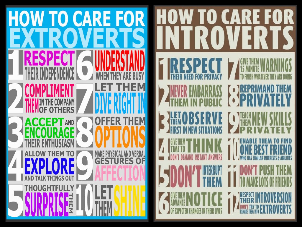 Personality Types, which are You and what to Do?