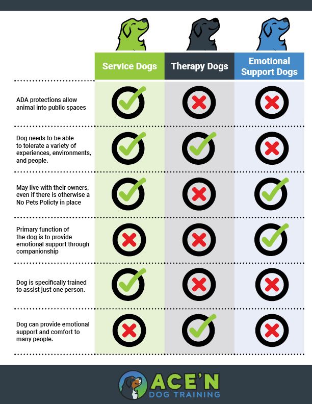 EMOTIONAL SUPPORT ANIMAL (ESA) TRAINING to Ace'n Agility