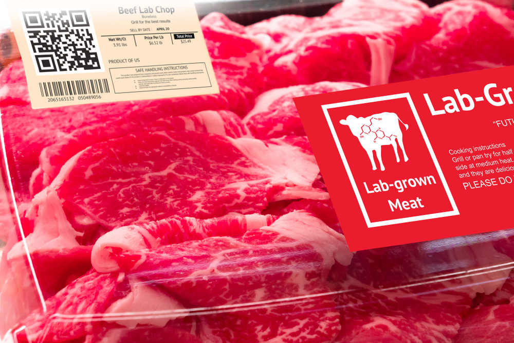 The Future of Lab Grown Meat Aceneca LLC Blog
