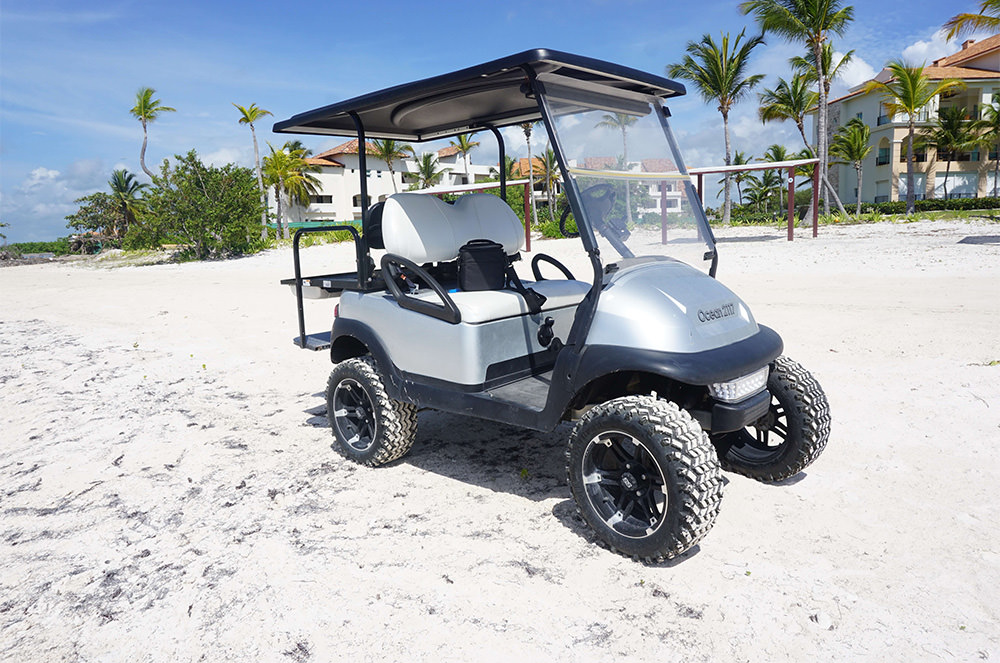 Daytona Beach, Florida Ace of Carts