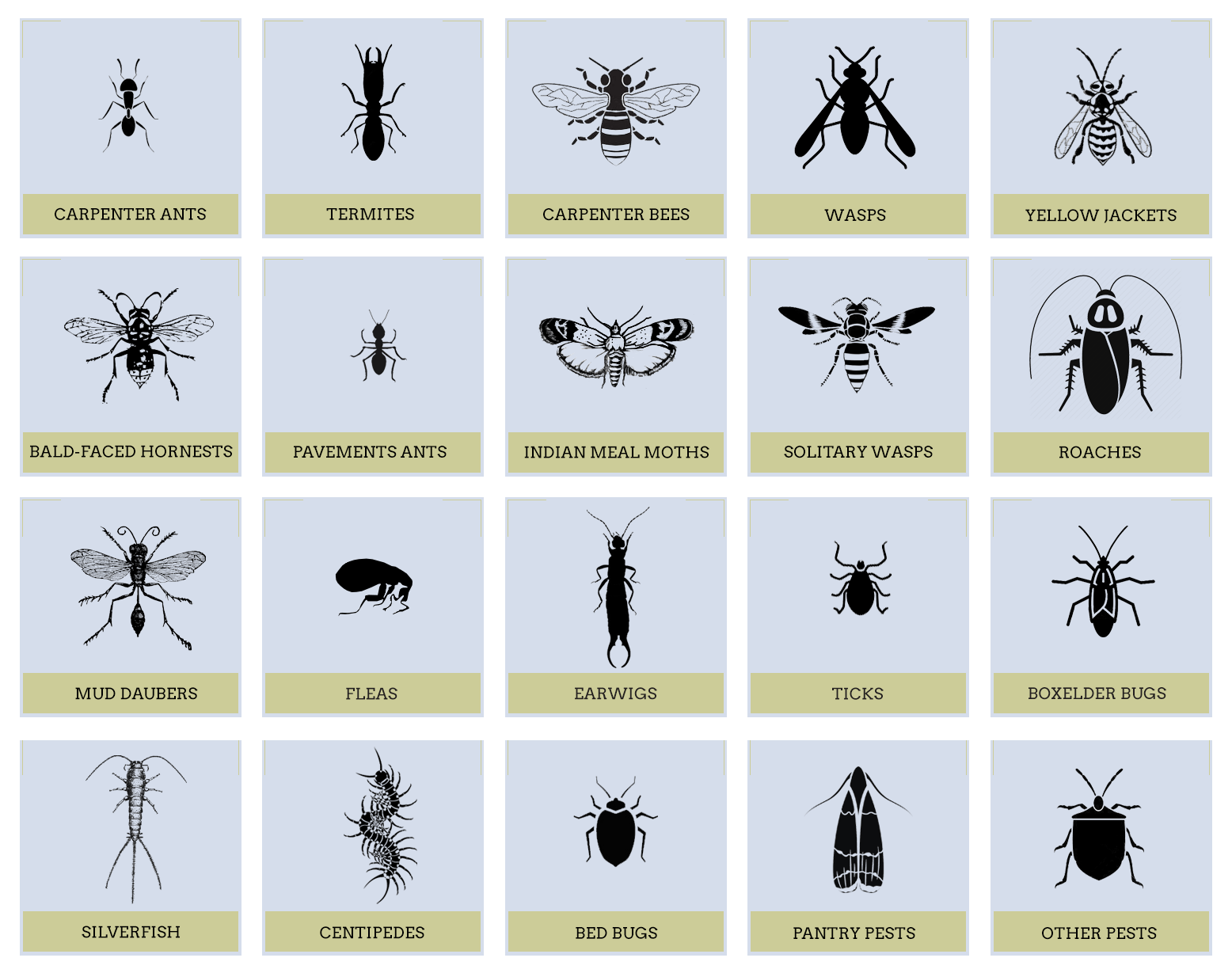 Services Ace Pest Control Specialists, Inc