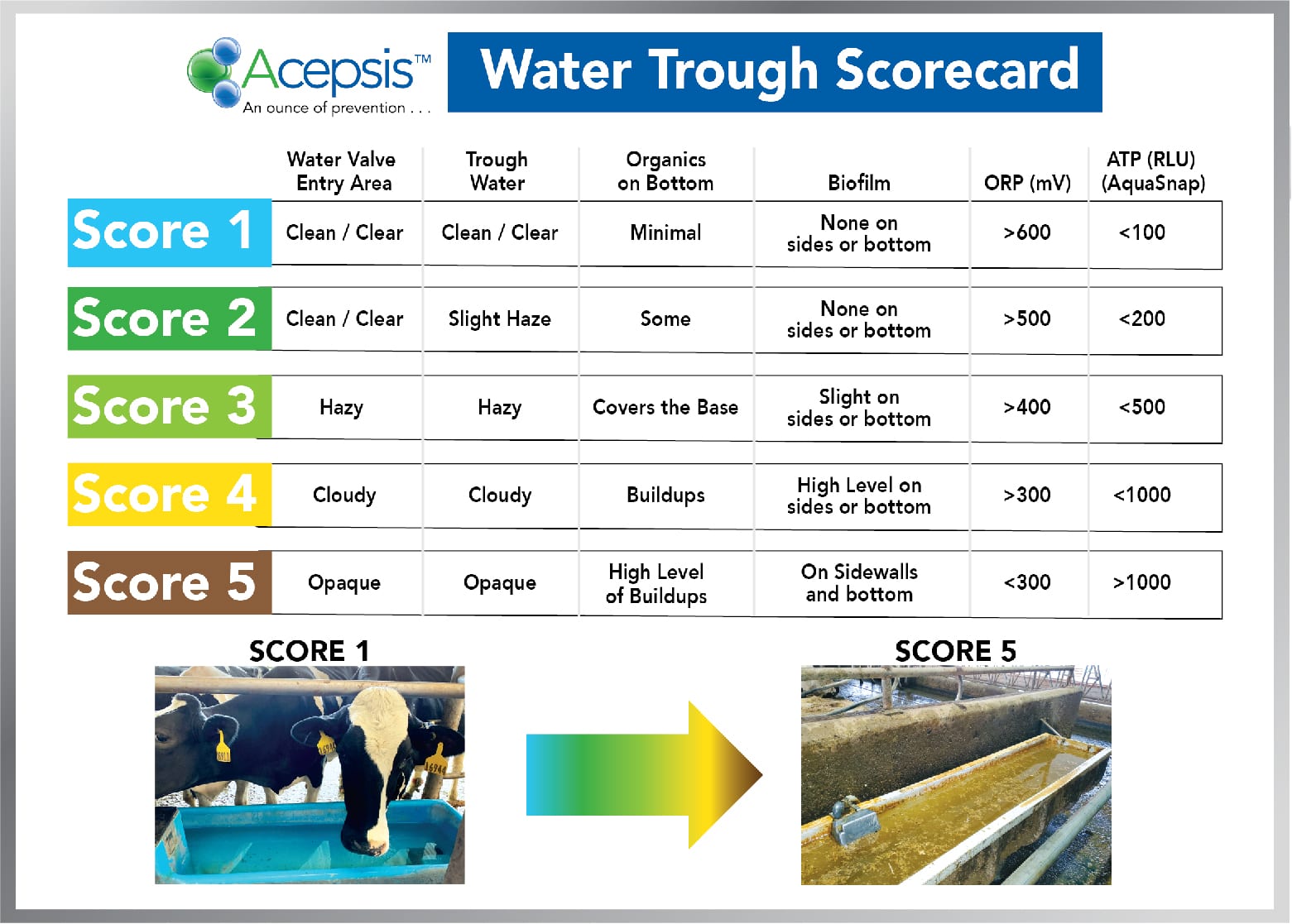 The Acepsis™ Complete Hygiene Approach Data Sheets