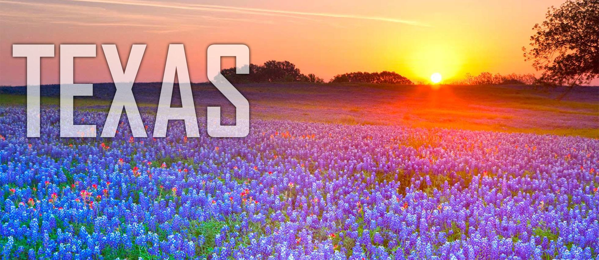 Texas Austin Advanced Contracting Enterprises