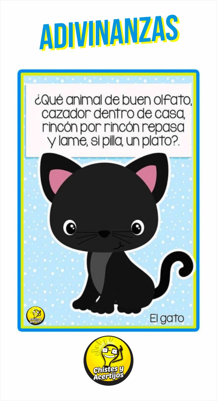 Adivinanza del gato