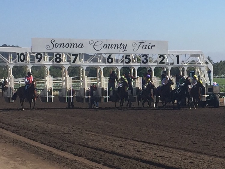 Wine Country Racing Experience the Sonoma County Fair! ACES Golf